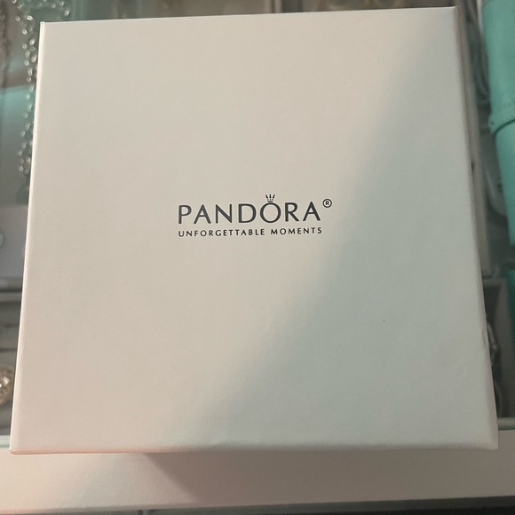 Pandora limited edition bracelet and charm ceramic case - Picture 3 of 6
